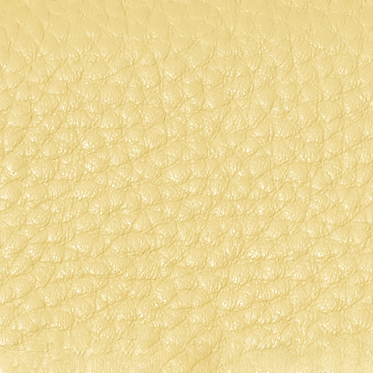 Small Vanity Cosmetic Bag (Butter Yellow)