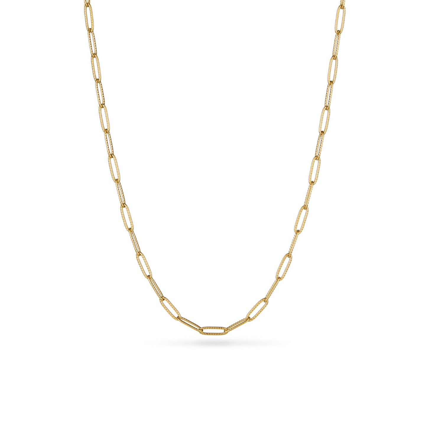 Murphys Sketches x Abbott Lyon Custom Robin Coin Necklace (Gold)