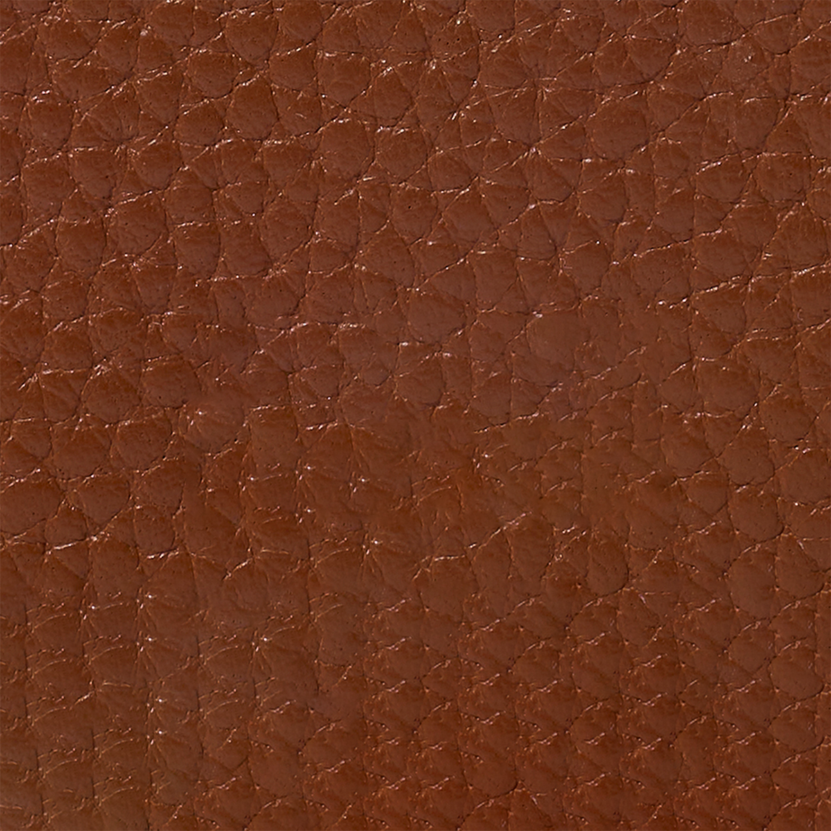 Leather Card Holder (Tan)